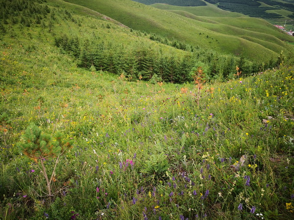 PG电子游戏·(中国)官方网站APP下载