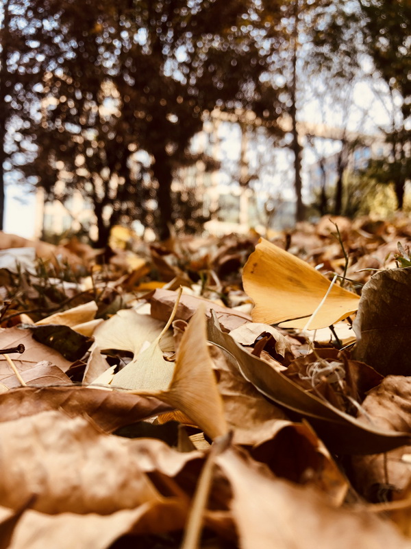 PG电子游戏·(中国)官方网站APP下载