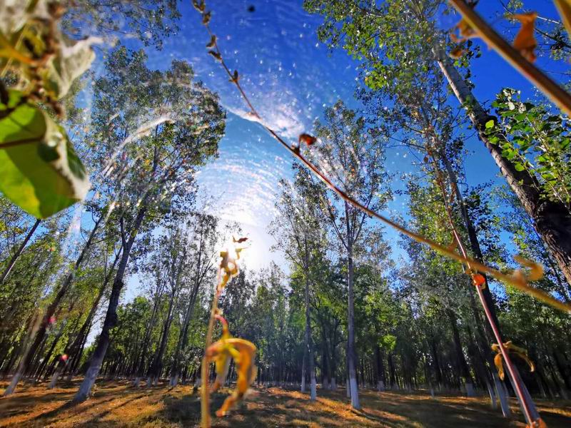 PG电子游戏·(中国)官方网站APP下载