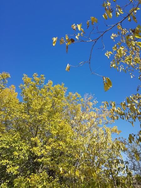 PG电子游戏·(中国)官方网站APP下载