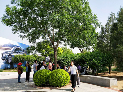 PG电子游戏·(中国)官方网站APP下载