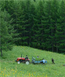 PG电子游戏·(中国)官方网站APP下载